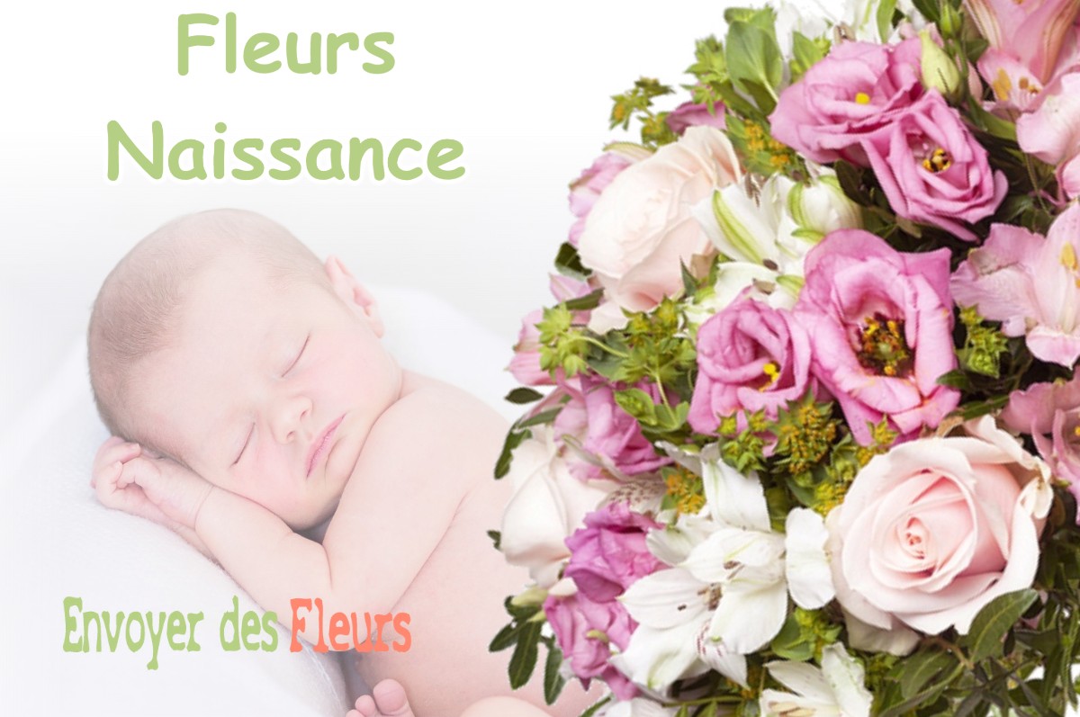 lIVRAISON FLEURS NAISSANCE à VENERIEU