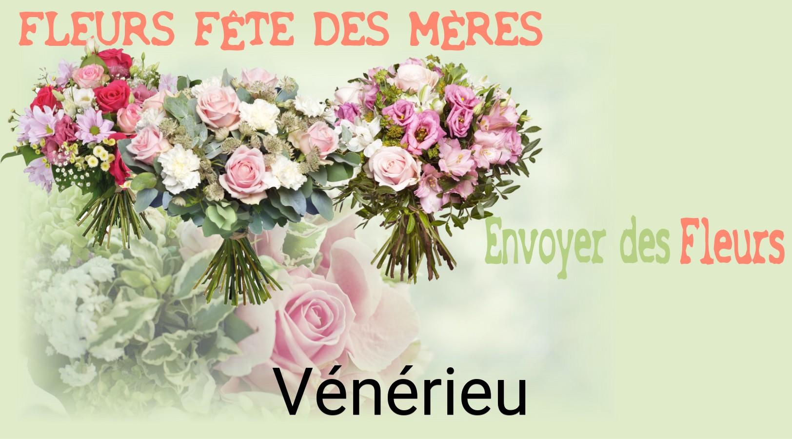 Bouquet de Fête des Mères livré à Vénérieu